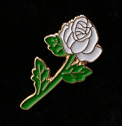 White Rose lapel pin to benefit the ACLU