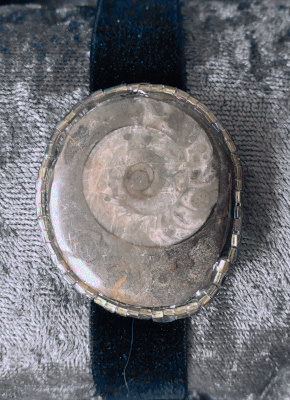 Ammonite Choker