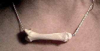 Single human hand bone necklace