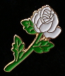 White Rose lapel pin to benefit ACLU