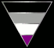Asexuality Triangle Enamel Lapel Pin
