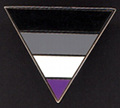 Asexuality Triangle Lapel Pin