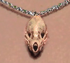 Genuine Bat Skull Necklace