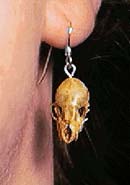 Genuine Bat Skull Earring