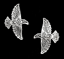 Huginn and Muninn, Odin's Ravens