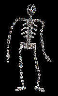 Rhinestone dancing skeleton brooch