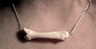 Real Human Bone Ring