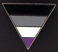 Asexuality Triangle Enamel Lapel Pin